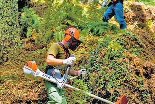 Limpezas e desmatações de terrenos e propriedades Limpezas e desmatações de terrenos e propriedades