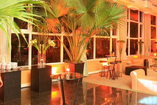 Fornecimento e colocação de plantas em eventos e decoração de interiores Fornecimento e colocação de plantas em eventos e decoração de interiores